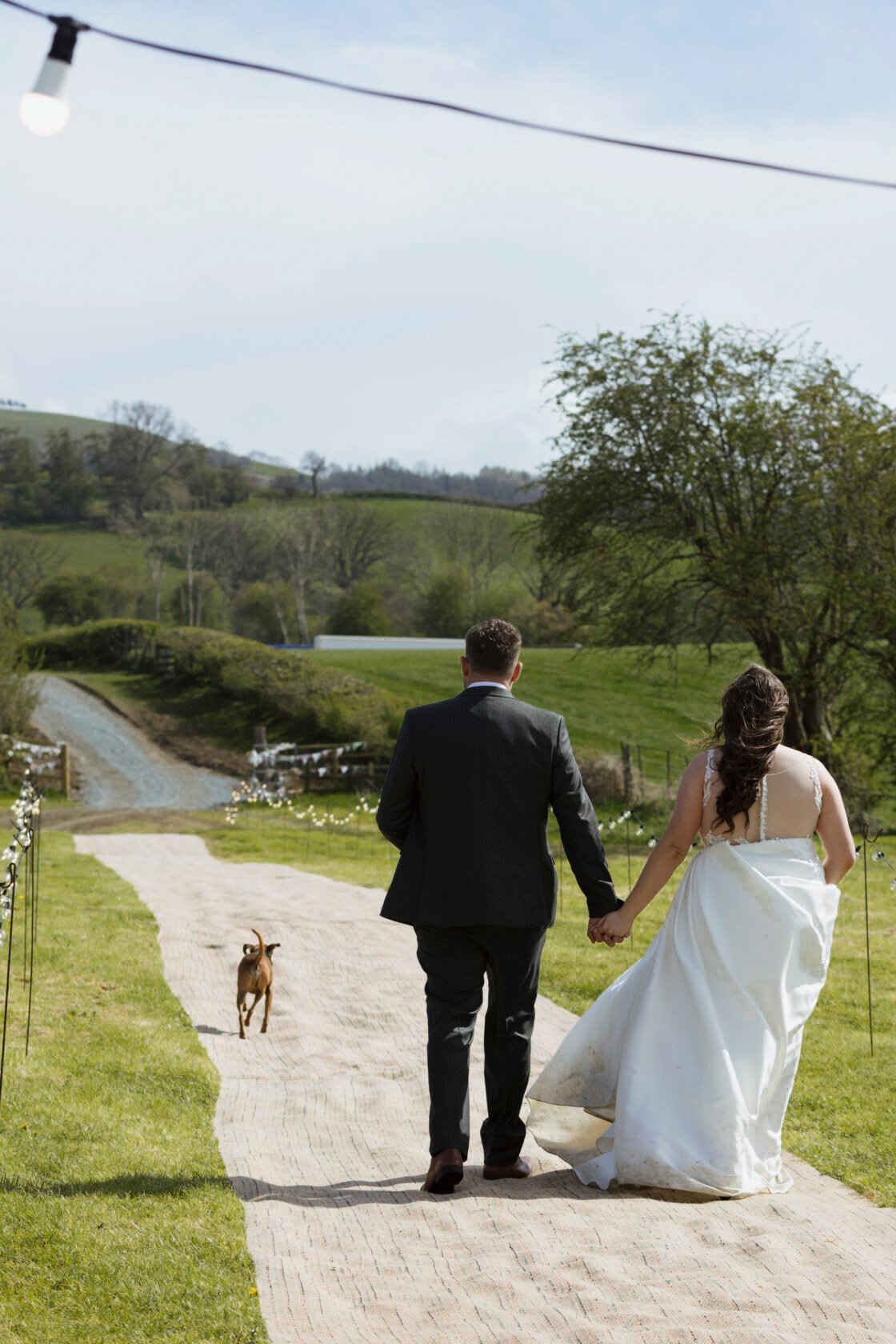 Newlyweds walking towards their rural reception with a dog ahead of them